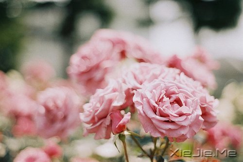 ���㶮�ã�������ϧ (6)