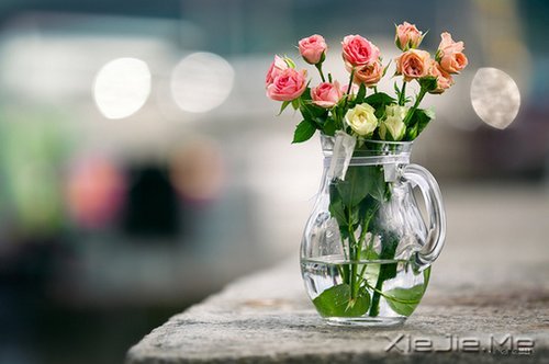 把日子过成诗,简单而精致 (5)