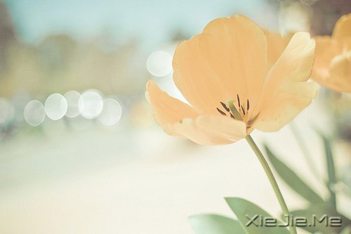 ˽���ɣ�����һ���� (4)