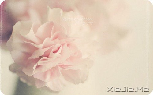 看自己的风景,行自己的人生 (6)