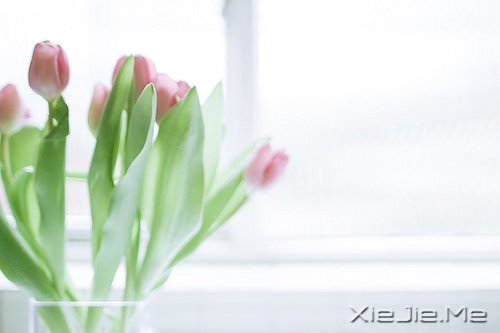 ֻ��֪��ж�������Ц������ (4)