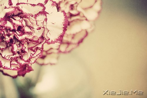 ��׷��ʲô����ȥŬ���� (9)