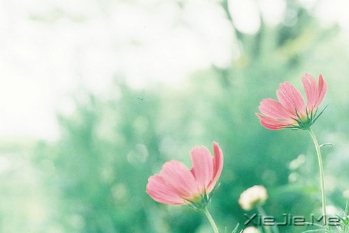 ��Ϊ֪�㣬���Ը��ӽ��Ҹ� (6)