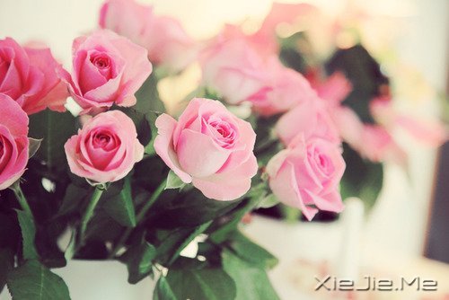 时光如此珍贵,只是我们一去不回 (1)