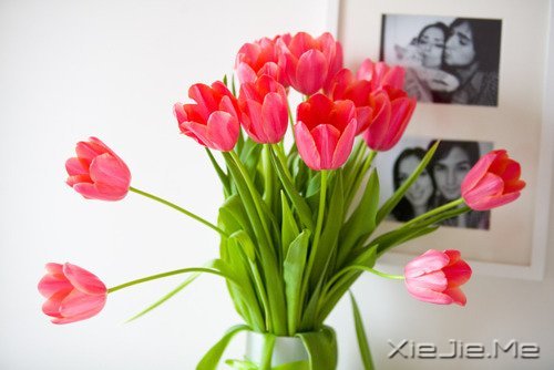 ��һ����������ʧȥ��60��Ŀ��� (9)