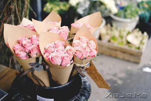 �����ж�пᣬ��͸��ж��ǿ (9)