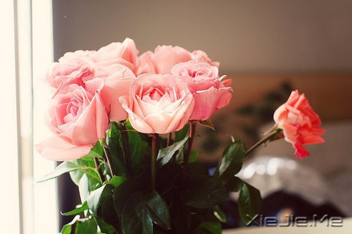 风雨人生,给自己一个微笑 (8)