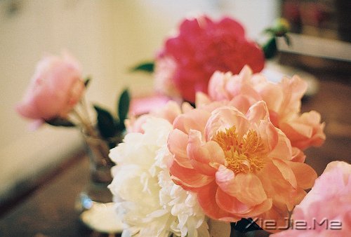 �簲���ǳǳ���������� (8)