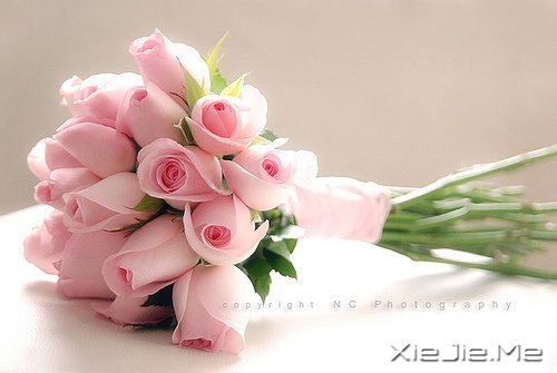 �Ҹ������Ǵ����ﶬ����Ȼ���� (4)