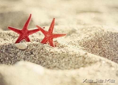 �簲����ù�ȥ�Ķ���ȥ (6)