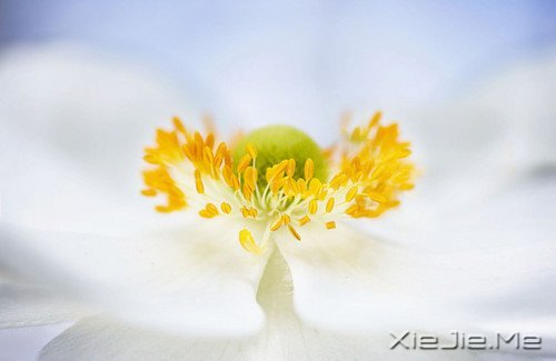 �簲����໰�Ȼ��Ըɾ�һǧ�� (9)