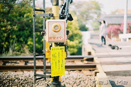 晚安心语:放下无谓的负担,人生才能一路自在 (4)