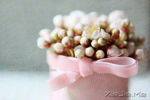 晚安心语:找到完美的路 (11)