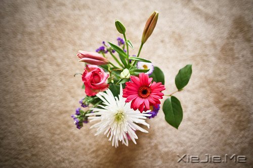 早安心语:别为不该为的人,伤了不该伤的心 (2)