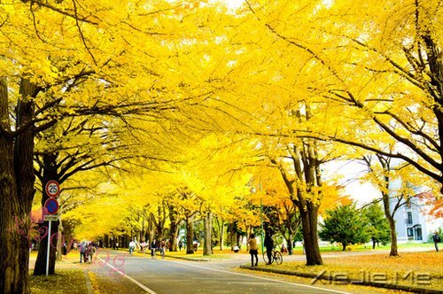 ��������㿴��ʲô�������磬���ӵ��ʲô�������� (2)