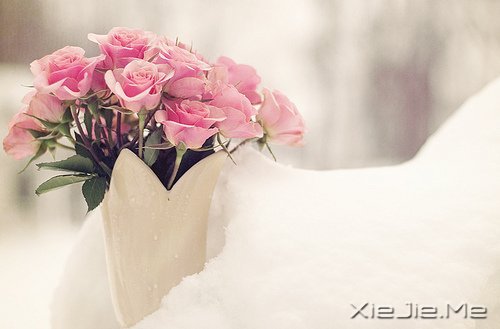 �簲����߽����·�������µ����� (6)