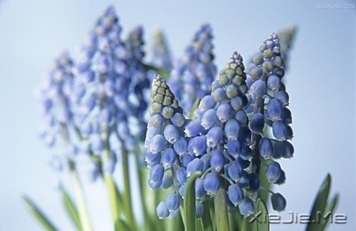 �簲�����ʰ���飬������· (6)