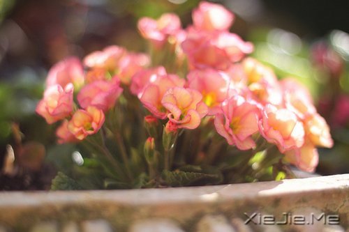 �簲�����ʰ���飬������· (8)