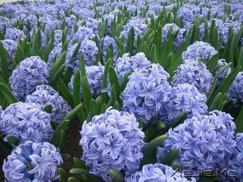 ������ᣬȴ���ӵ�з������������ (10)