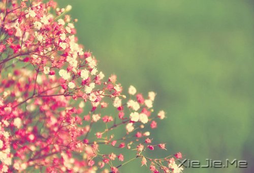 �簲���ʱ���ҧ�ˣ��㲻�߾ͻ������˺� (7)