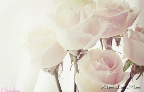 �ʵ��ķ��������������ŵ�ת�� (8)