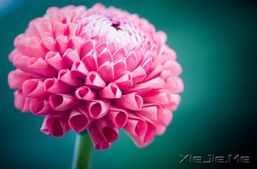 �簲�����Ȼһ�У��������� (2)