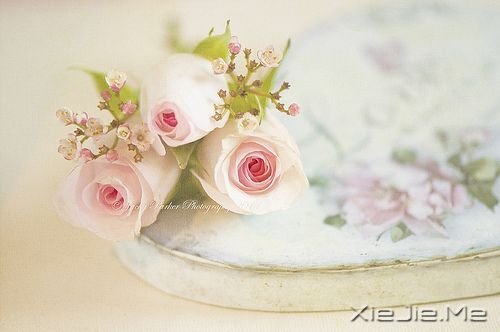 �簲���������������һ���˵����� (5)