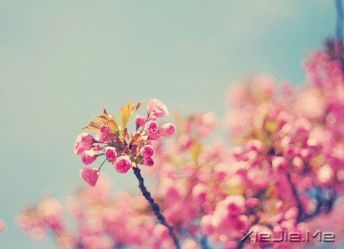 ����������������У����������� (1)