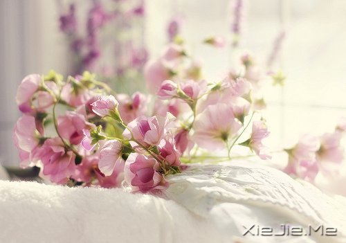 经过人生的荒凉,才能抵达内心的繁华 (7)