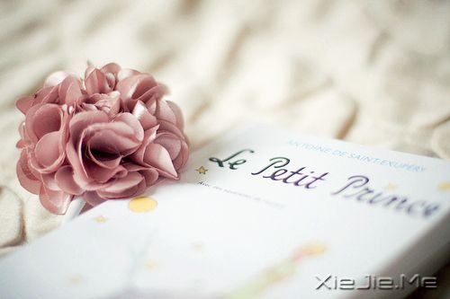 �簲���������һ��������Ը������� (3)