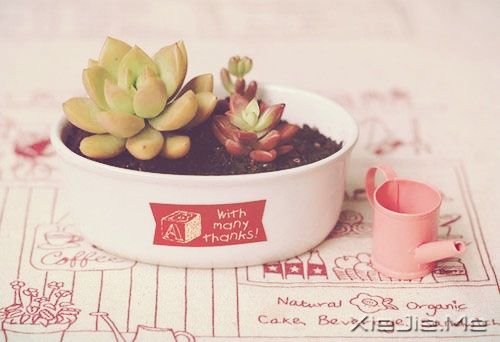 早安心语:想不开就不想,得不到就不要 (10)