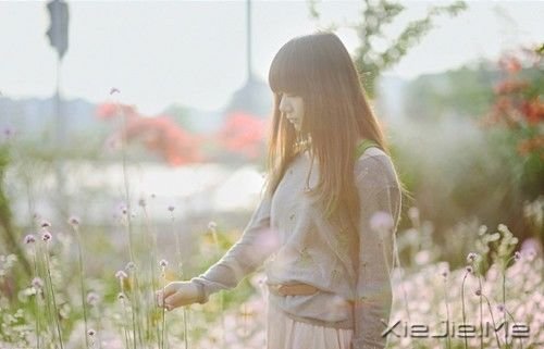 早安心语:最懂我的,始终还是我自己 (2)