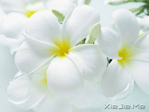 �簲�����δ���������������ǰ�һ���׸����� (6)