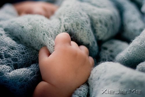 晚安心语:我想要用我的方式飞翔一次 (4)