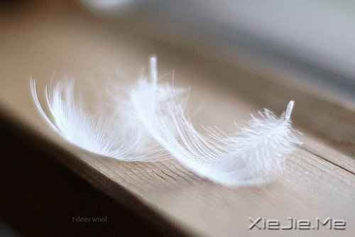 �簲��������ܻ����ڶ��λ��ᣬ������ (1)