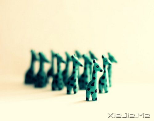 �簲�������ĺ�С����Ҫװ��̫������ (3)