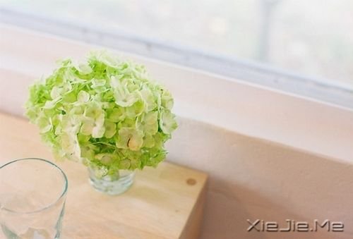 晚安心语:不要因为一时的心烦,做出一辈子的傻事 (10)