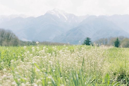 早安心语:自己的笑容才是最美的风景 (4)