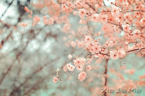 ������������õ��ܻ��ڲ��������� (10)