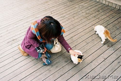晚安心语:我的愿望是,一觉睡到小时候 (3)