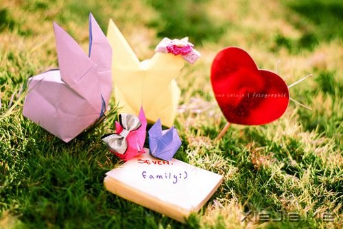 早安心语:跟随自己的内心与直觉 (9)