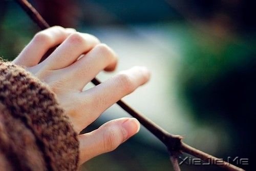 �������ǣ������ȥ��ֱ��������� (1)