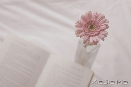 �簲����Ҷ຦��ϰ����˭�ĺã�Ȼ���ֱ�����Ķ��� (3)