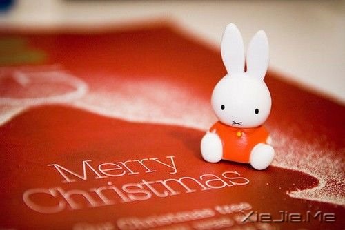 �簲������Ҷ���Խ��Խ��òʱ�����ǻ�����Խ��Խİ���� (7)