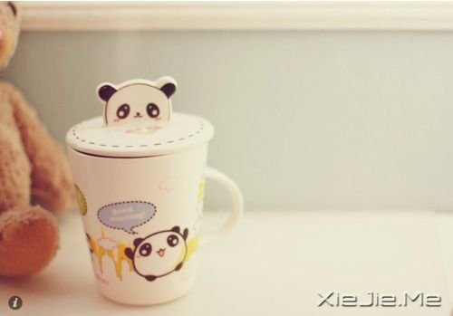 早安心语:爱自己是终身浪漫的开始 (2)