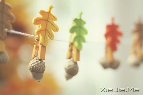 爱情心语:最美好的承诺,不是我爱你,而是我会一直爱着你 (8)