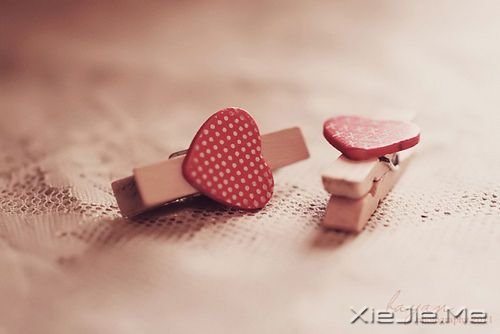 如果想飞得高,就该把地平线忘掉 (3)