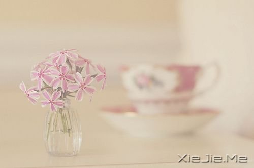 晚安心语:人总有那么一段时间要学会自己长大 (5)