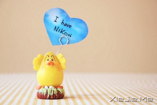 英文心语:我爱你,爱了整整一个曾经 (7)