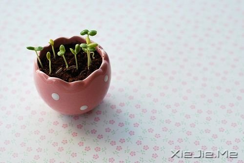 ��������Ҹ��������Ķ����Ҹ� (7)